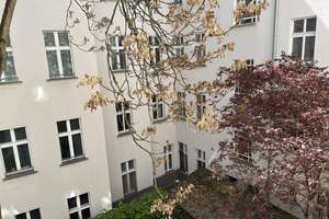Privatverkauf: Nahe Helmholtzplatz! Absolut ruhig. Altbaucharme. Tolle Einbauküche. – Ahlbecker Str. 11 A, 10437 Prenzlauer Berg, Berlin – Vorschaubild 16