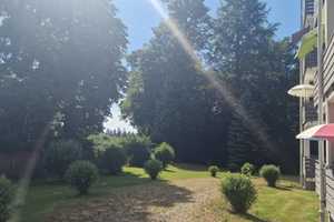 DIESES Appartement liefert Bergblick und himmlische Ruhe im 3. Stock – Am Schellenbach 7, 83670 Bad Tölz-Wolfratshausen (Kreis) – Vorschaubild 15