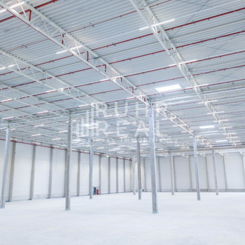 Moderne Logistikfläche in Düsseldorf | 6 Rampen | 1 ebenerdiges Tor | 24/7