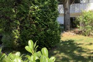 Großzügige DHH mit  Anbau, Südgarten und viel Platz für Kreative – Die vollständige Adresse der Immobilie erhältst du vom Anbieter., 80689 Blumenau, München – Vorschaubild 28