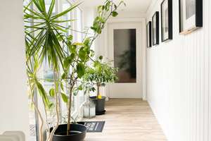 Gepflegtes Atrium-Reihenhaus mit privatem Innenhof & viel Platz – Die vollständige Adresse der Immobilie erhältst du vom Anbieter., 21465 Reinbek – Vorschaubild 4