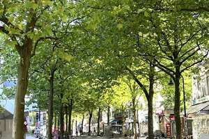 Endetagenwohnung mit Potential im Herzen Altonas – Große Bergstraße 187, 22767 Altona-Altstadt, Hamburg – Vorschaubild 11