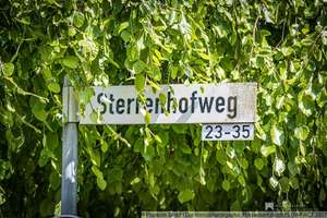 Gartenstudio in Junkersdorf – Sterrenhofweg 35, 50858 Junkersdorf, Köln – Vorschaubild 4