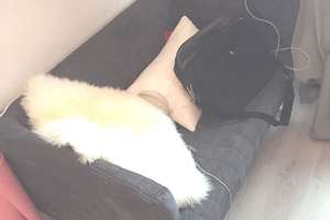 Property thumbnail 18