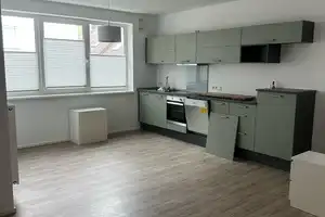 Helle offene moderne 2-Zimmerwohnung – Main-Kinzig-Kreis – Vorschaubild 3