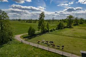 +Gehöft mit Zweifamilienhaus -Gewerbeflächen ca.300QM-Landwirtschaftsflächen ca.6500QM+ – Die vollständige Adresse der Immobilie erhältst du vom Anbieter., 3185 Tauer – Vorschaubild 13
