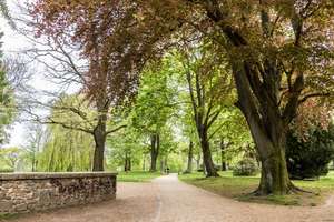 Property thumbnail 14