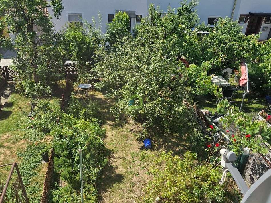 Blick in Garten