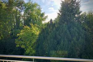 *** 3 Zimmer Wohnung mit ruhiger Terrasse in Bogenhausen Denning 2.OG *** – 81927 Englschalking, München – Vorschaubild 3