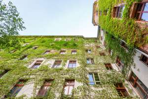 Property thumbnail 16