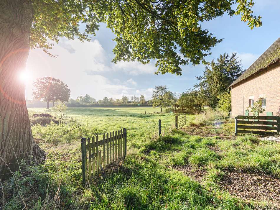 otionale Flächen Süden