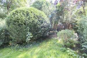 *NEUER PREIS* Bezugsfrei: Gepflegtes 4-Zi.-Reihenmittelhaus mit Tiefgarage und Garten in Nikolassee! – Berlin – Vorschaubild 15