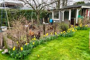 Property thumbnail 16