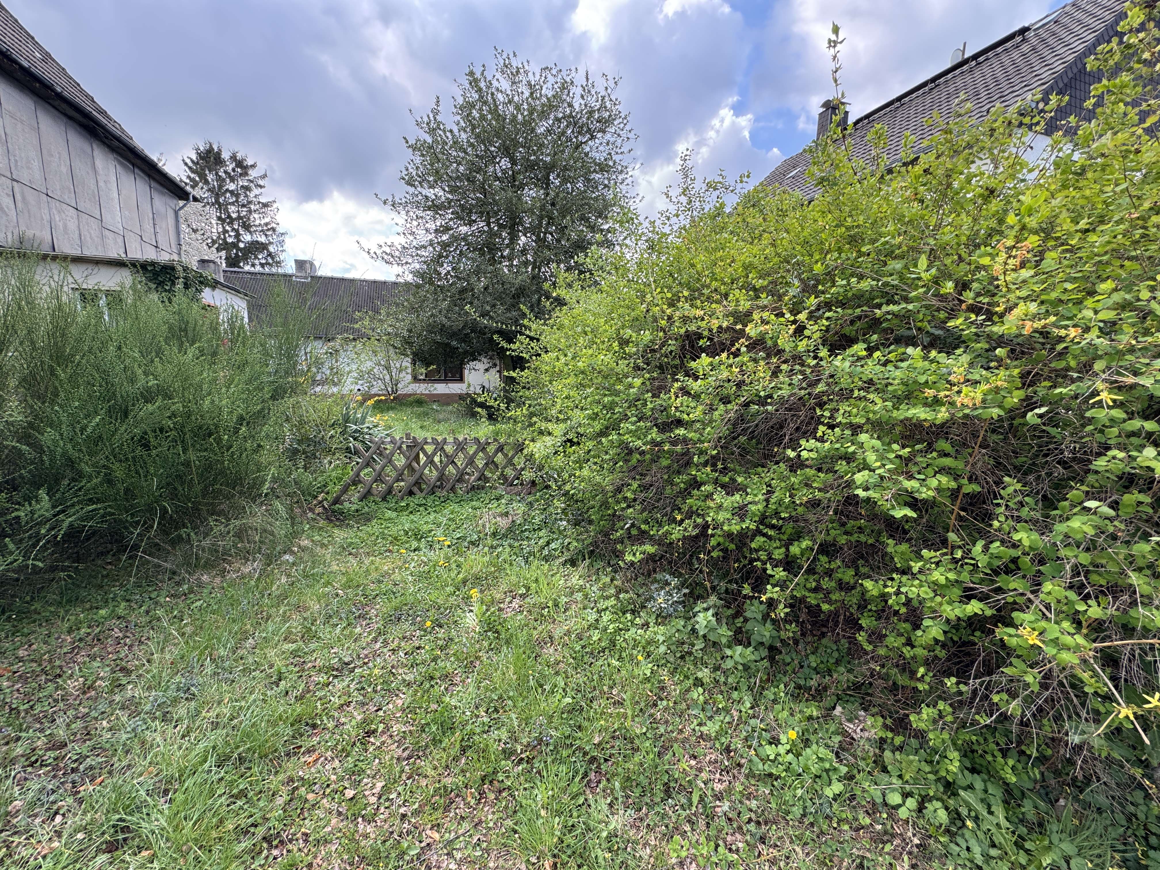 EFH zur Entkernung oder Abriss, auf schönem Grundstück in Niederau zu verkaufen, Düren Kreis – Bild 3