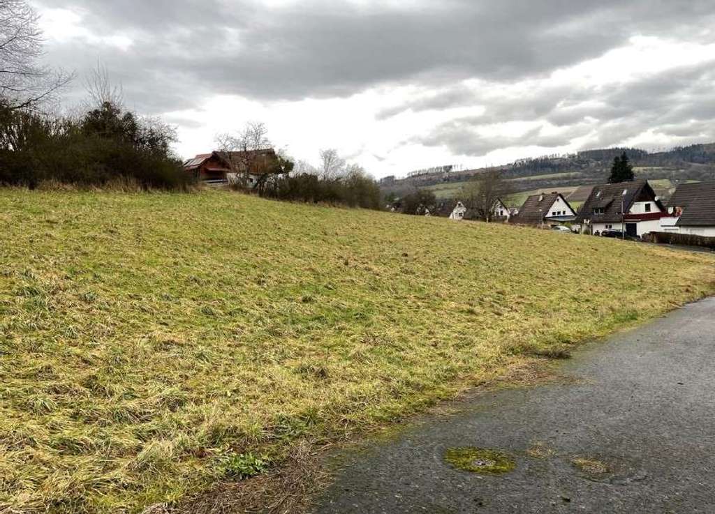 Immobilie in Spangenberg - Mit Grundstück: Das moderne Doppelhaus mit Charme und Charakter in Spangenberg - Bild 1