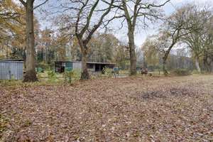 Elegantes Einfamilienhaus mit 6,5 Zimmern in Haselünne – dr Richardstrasse 10, 49740 Haselünne – Vorschaubild 55