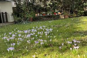 Property thumbnail 59