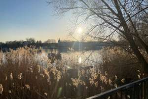 Property thumbnail 39