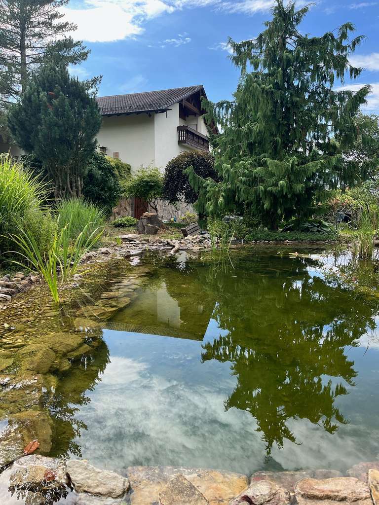 Immobilie in Münchweiler an der Alsenz - Einzigartiges Reitanwesen in der Pfalz – 5,8 Hektar, Stall, Reithalle, Wald - Bild 1