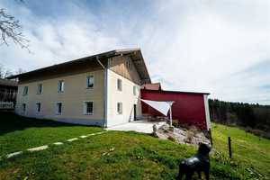 Einfamilienhaus mit Stallung in Alleinlage – Passau (Kreis) – Vorschaubild 2
