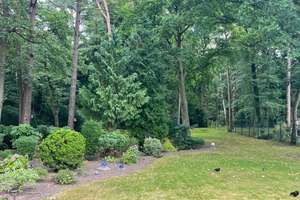 EFH mit Entwicklungspotential und direkter Waldlage in Hamburg-Hausbruch – Die vollständige Adresse der Immobilie erhältst du vom Anbieter., 21149 Hausbruch, Hamburg – Vorschaubild 9