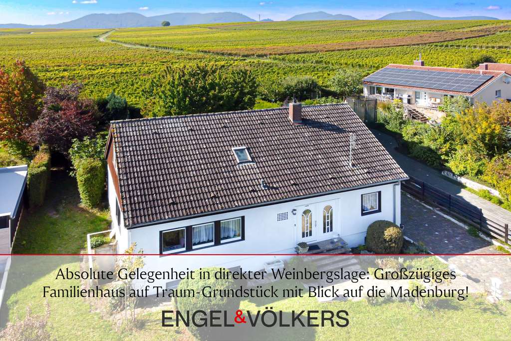 Absolute Gelegenheit in direkter Weinbergslage: Großzügiges Familienhaus auf Traum-Grundstück mit Bl
