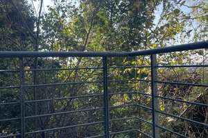 Property thumbnail 9