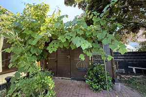 Charmantes Haus mit Wintergarten in Swisttal – ideal für Paare, mit Garten, Sauna & Kaminofen. Ruhig – Rhein-Sieg-Kreis – Vorschaubild 25