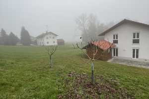 KHALIL WAKED IMMOBILIEN! Modernes Einfamilienhaus in einer ruhigen Lagen. – Passau (Kreis) – Vorschaubild 7