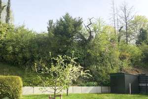 Luxus Loft mit Garten im grünen Stadtrand seitlich der Waldstrasse – Weinfeldstraße xx, 65187 Biebrich, Wiesbaden – Vorschaubild 9
