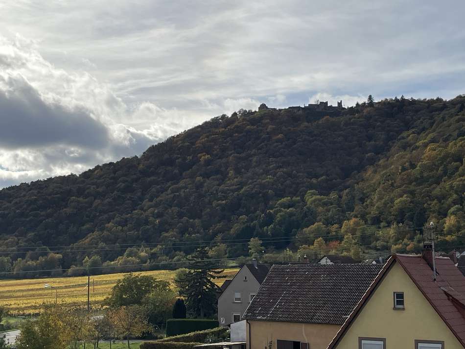 Ausblick zur Madenburg