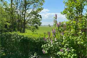 Nordseeidylle in ruhiger Lage** – Nordfriesland (Kreis) – Vorschaubild 12