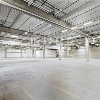 Lagerhalle mit Rampen und ebenerdigen Toren | RUHR REAL