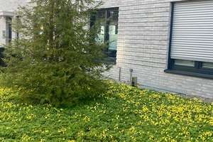 Moderne 4-Zi.-Wohnung mit gr. Loggia, Terrasse, Blick ins Grüne u. Gartennutzung