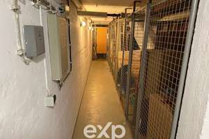 Ganz allein? 
Kauf sie! 
Zieh ein. – 30519 Mittelfeld, Hannover – Vorschaubild 4