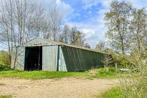 Resthof unter Reet -7,6 ha- Pferdestall- Reithalle, schöne Lage – Schleswig-Flensburg (Kreis) – Vorschaubild 6