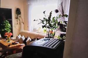 Property thumbnail 13