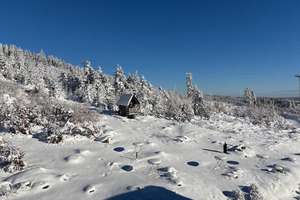 Einzigartiges Objekt in Allein-Lage am Nationalpark Harz – Rodelhaus 1, 38700 Braunlage – Vorschaubild 35