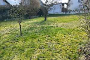 Traumobjekt für Handwerker und Naturliebhaber im Herzen Burglengenfelds – Schwandorf (Kreis) – Vorschaubild 6