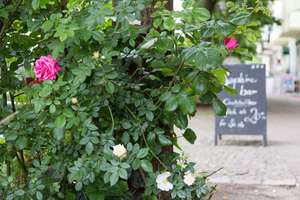 Property thumbnail 18