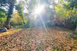 *** Tolles MFH, hervorragende Möglichkeiten, hochwertige Lage + großer Garten in Köln- Weiden*** – Die vollständige Adresse der Immobilie erhältst du vom Anbieter., 50859 Weiden, Köln – Vorschaubild 24