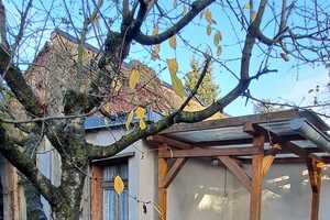 Property thumbnail 7