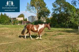 Charmanter Landsitz (Pferdehof) mit großem Grundstück und viel Ausbaupotential – Die vollständige Adresse der Immobilie erhältst du vom Anbieter., 39221 Bördeland – Vorschaubild 8