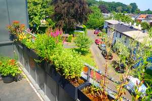 BRAVOUR IMMOBILIEN: Zauberhafte  4 Zimmerwohnung, Etage 3, super geschnitten, ab Nov. zu vermieten – Die vollständige Adresse der Immobilie erhältst du vom Anbieter., 51063 Mülheim (Ortsteil), Köln – Vorschaubild 16