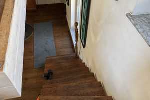 *HTR* Alleinlage, Stadthaus mit Yuppie-Penthouse, in Citylage, Dachterrasse – Aschaffenburg – Vorschaubild 10