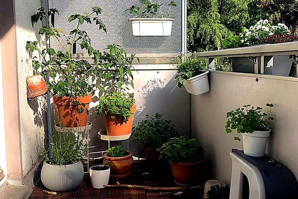 Helle 2-Zimmer-Wohnung mit Balkon – gepflegte Kapitalanlage oder perspektivisch Eigennutzung