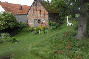 Historischer Resthof – FWH mit Neben­gebäude in idyllischer Lage und Potenzial - provisonsfrei. – Köhlen 13, 29487 Luckau (Wendland) – Vorschaubild 8