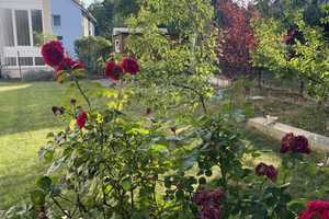 Preissenkung ! Kernsaniertes Mehrfamilienhaus in ruhiger Lage in Mutlangen – Ostalbkreis – Vorschaubild 8