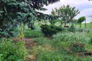 Grundstück mit herrlichem Garten - für Gewerbe geeignet – Dorfstraße 45, 6456 Mansfeld-Südharz (Kreis) – Vorschaubild 7