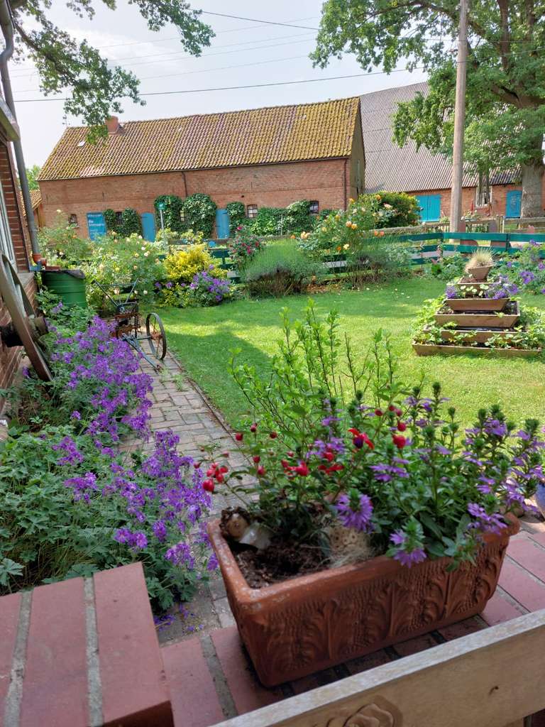 Immobilie in Alt Krenzlin - Backsteinklinkerhaus - Bild 2